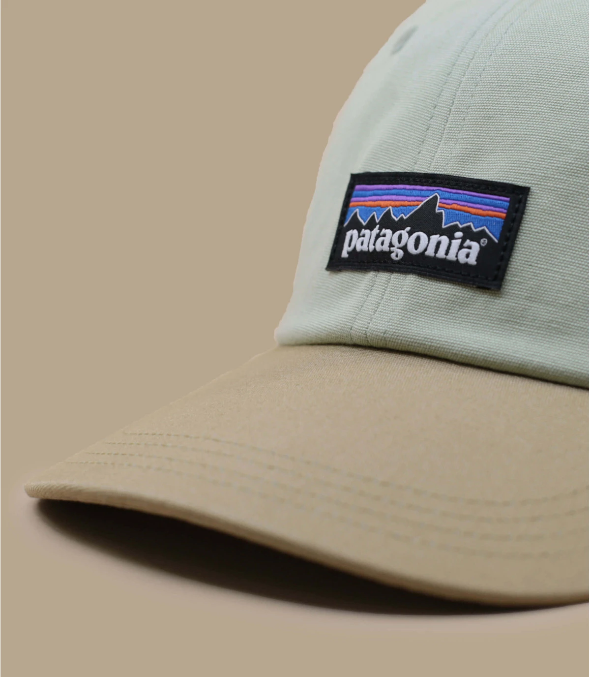 Patagonia P6 Label Trad Salvia Green 5 Patagonia P6 Label Trad Salvia Green – Image 3